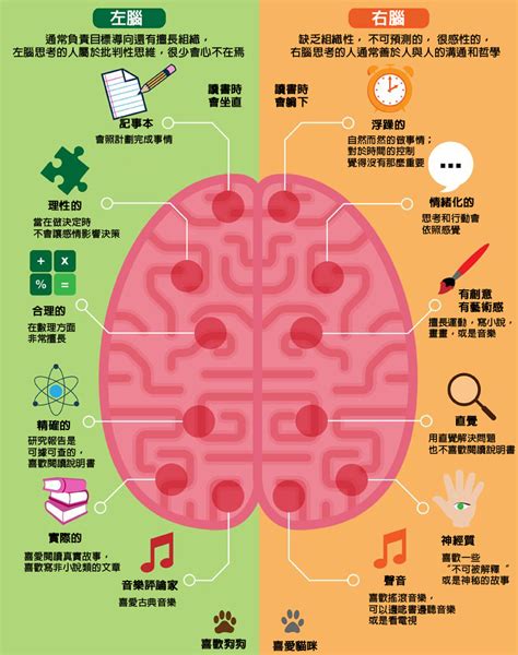 腦色分析|【腦色分析】腦色分析：用你的大腦顏色解碼你的同事。